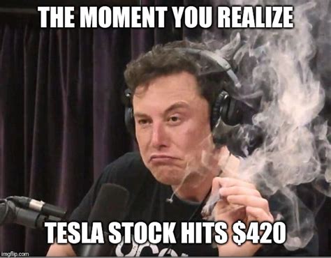 tesla meme|is tesla a meme stock.